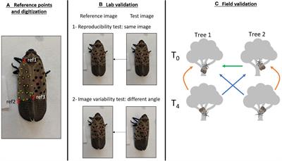 Spotted! Computer-aided individual photo-identification allows for mark-recapture of invasive spotted lanternfly (Lycorma delicatula)